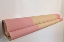 NLSCAE13502620100(v)